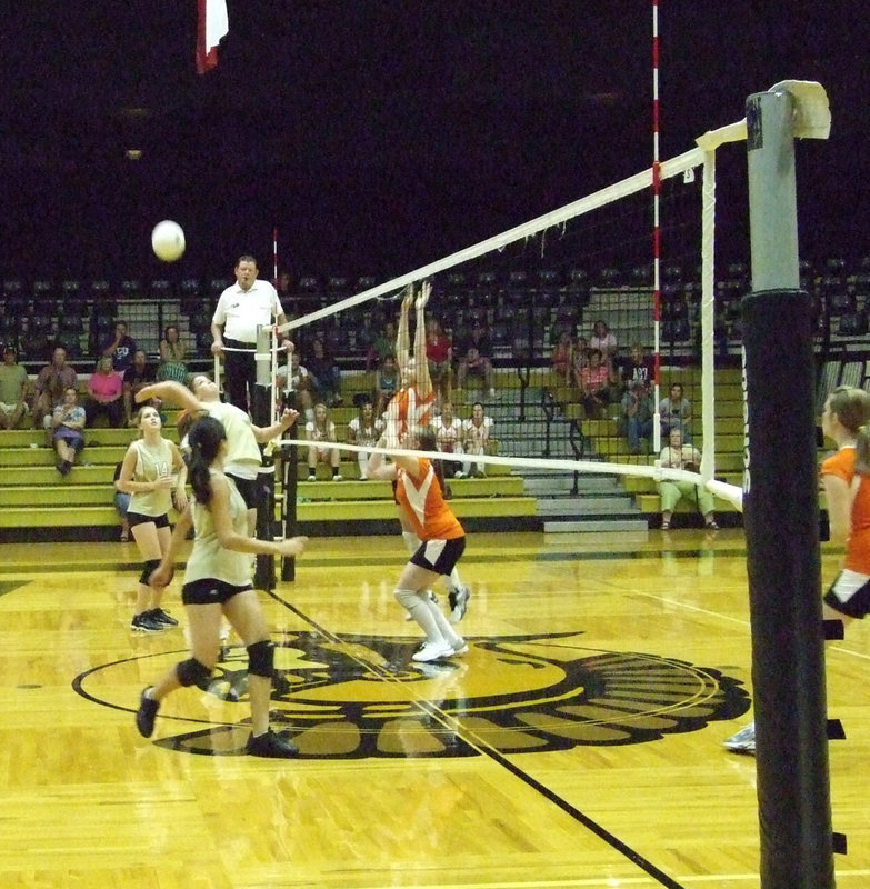 Image: Up, up and away — Paige spikes the ball.