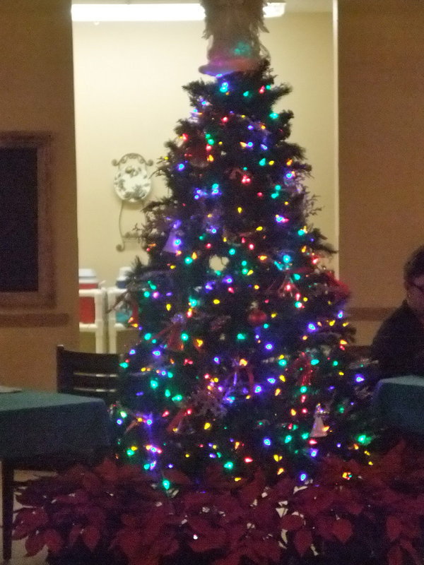 Image: Memory Tree — The “tree of memories” after the angels were hung.