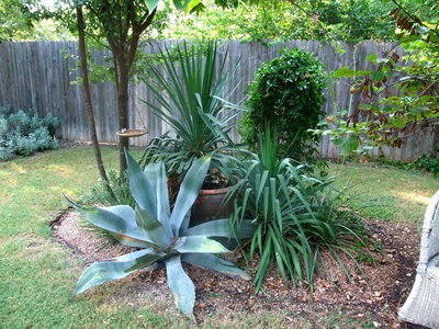Image: Gardening Expertise — Gorgeous landscaping everywhere you look in Alvarado’s yard but this really is a pretty view.