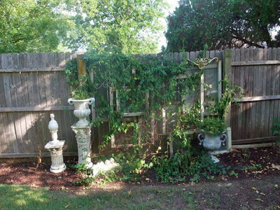 Image: Ornamental Fence — More greenery.