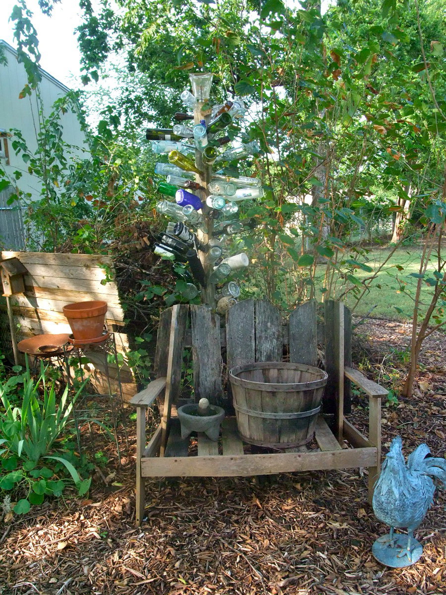 Image: Ever See a Bottle Tree? — Very beautiful landscape with a “bottle tree.”