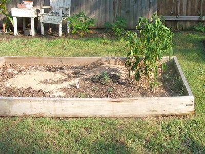 Image: Raised Garden Bed — This garden bed was filled with peppers. Several other garden beds were filled with 
    yellow watermelons and more vegetables.