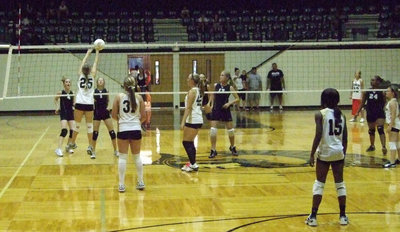 Image: Nelson puts it over — The Grandview Lady Zebras had to work hard to keep up with these Lady Gladiators.