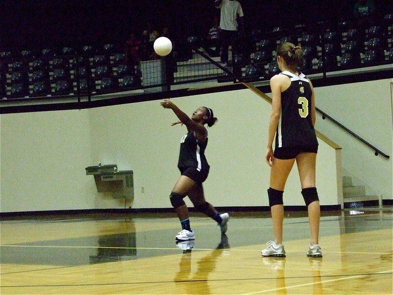 Image: Brianna serves — Kaitlyn Rossa(3) watches Brianna Burkhalter serve to the Rice Lady Bulldogs.