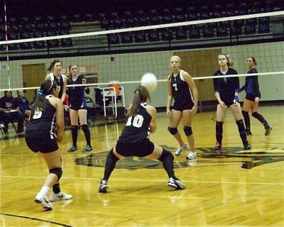 Image: The down low — Brianna Perry(10) gets low to bring the volleyball back up.
