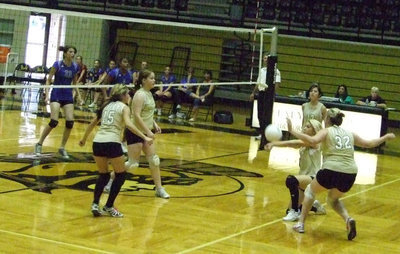 Image: Set it up — The Lady Gladiators won the first game 25-20.