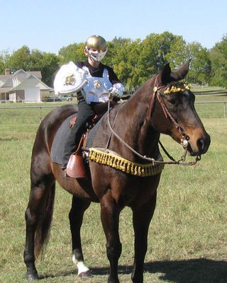 Image: Best Hero costume — Hunter Hinz, Sadie’s brother, and his horse Rita won “Best Hero” honors for their depiction of Sadie’s knight in shining armor.