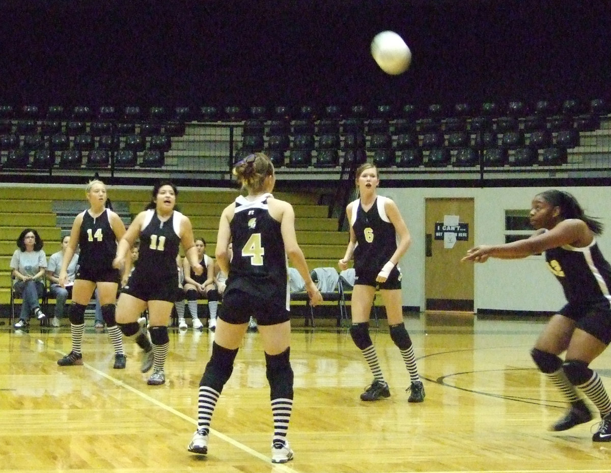 Image: Fleming hits back — Junior, Jaleecia Fleming, hits back to the Lady Owls.  The Lady Gladiators won this match in 5 sets.