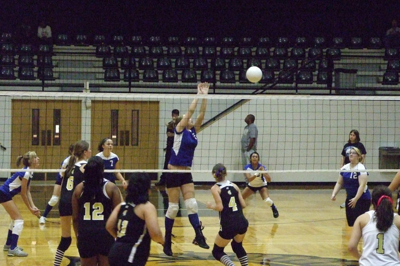 Image: Lady Owls fight back — Covington’s frontline working hard Tuesday night.