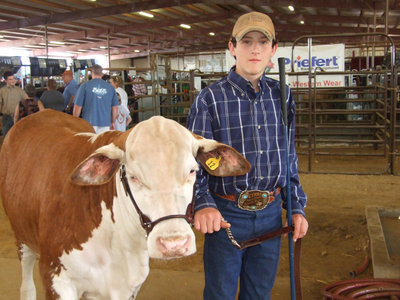 Image: Runner &amp; Russell — Russell Helms keeps a tight grip on his heifer, named Runner, before they enter the show ring inside the Ellis County Expo barn.