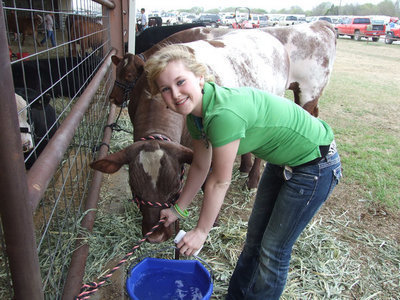Image: Water girl — Jesica Wilkins brings water to her steer.
