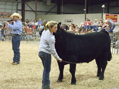 Image: What do you think? — Bailey Eubank searches the crowd for Dad’s approving eye. Bailey won Reserve Grand Champion with her steer.