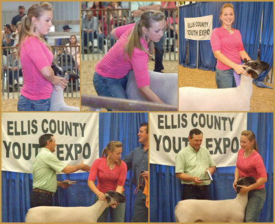 Image: Grand Champion — Jaclynn Lewis showed two lambs winning 1st in Class with both. Jaclynn also won Breed Champion and Overall Grand Champion. Above, Jaclynn receives a belt buckle while her father, Russ Lewis, thanks the judge.