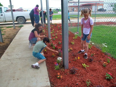 Image: These are Beautiful — You could hear these students saying how beautiful the flowers are.