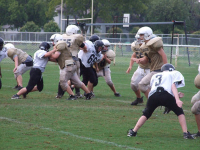 Image: &gt;&gt;&gt;Men Working&lt;&lt;&lt; — The 7th Grade offensive line clears a path through the jungle of Malakoff Tigers.