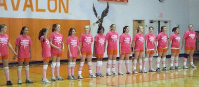 Image: Lady Eagles — Lady Eagles and Lady Gladiators took on DIG PINK games for a Breast Cancer Research fundraiser.
