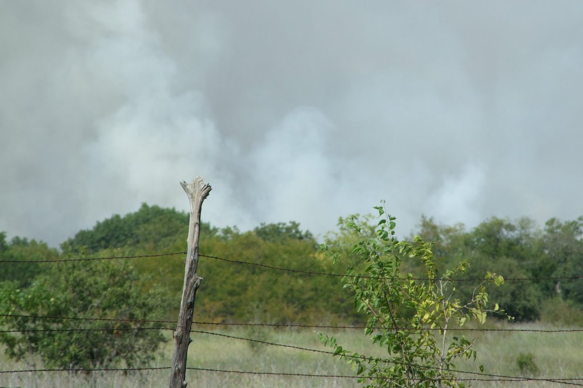 Image: Neighbors watch controlled burn — A controlled burn was watched by several neighbors.