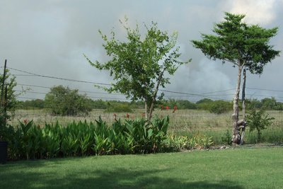 Image: Smoke from Reyrosa Ranch — A controlled burn at the Reyrosa Ranch.