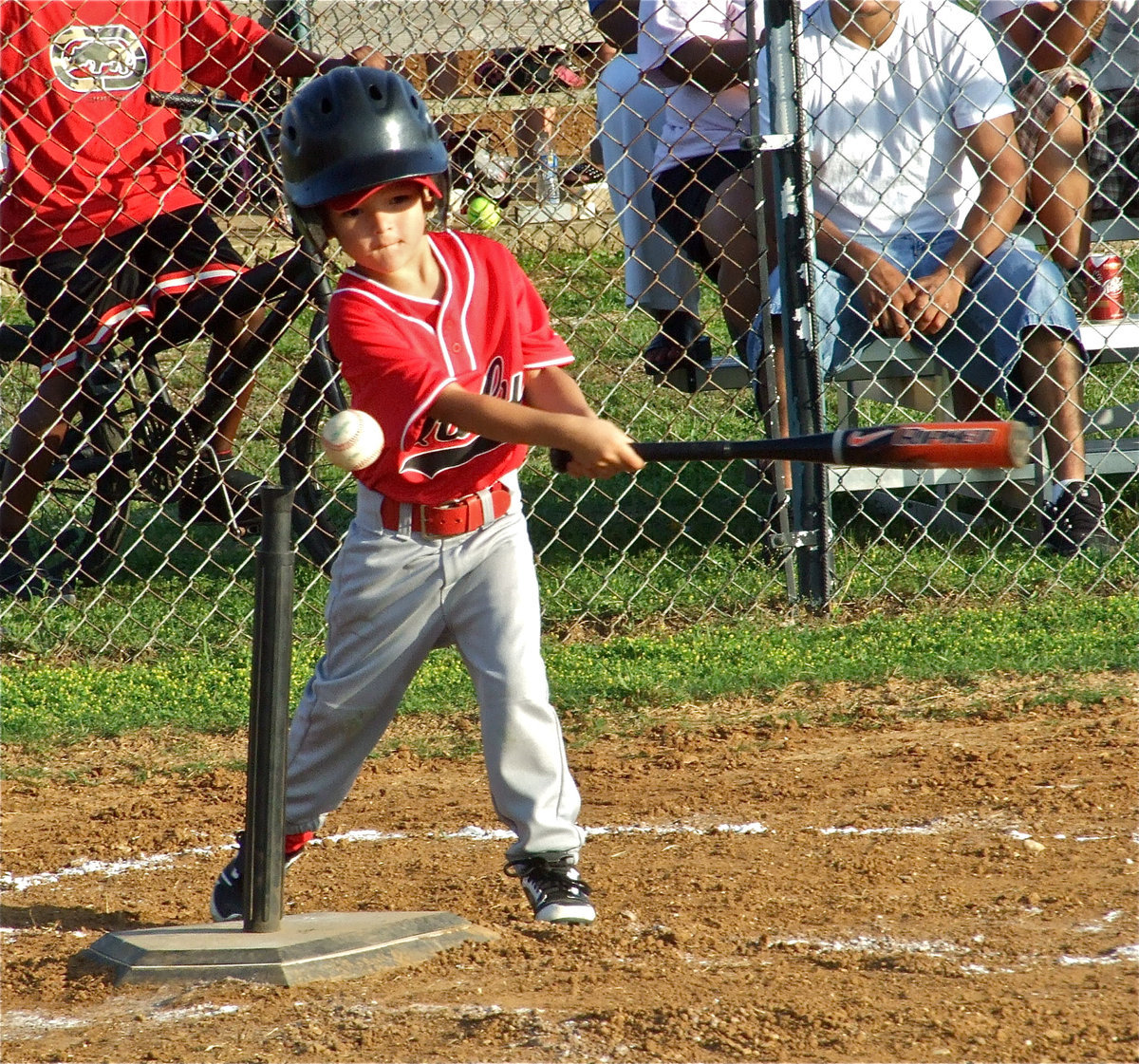 Image: Power hitter — The hitting tee has met its match.