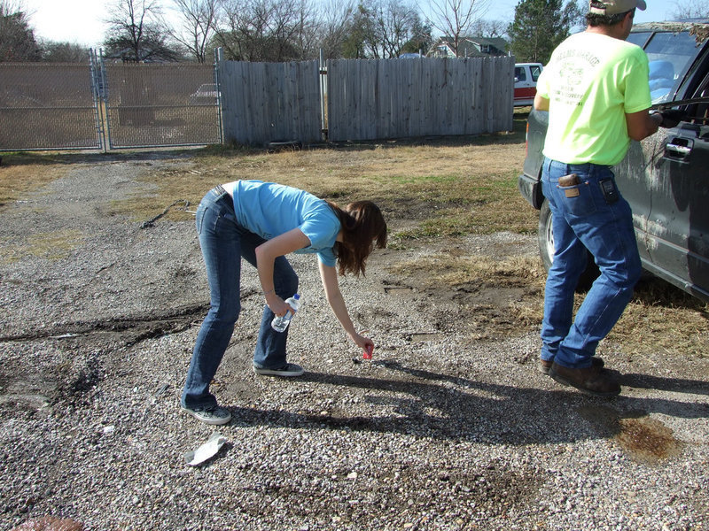 Image: Picking Up The Pieces — Ms. McCown tries to pick up the pieces after the accident.