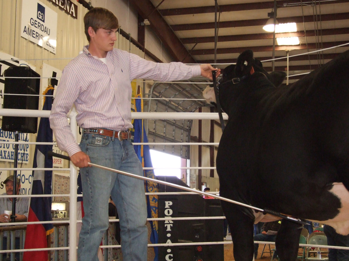 Image: In the ring — Clayton Campbell does a masterful job controlling his steer during the Expo sale.