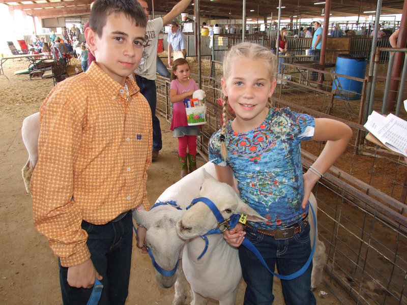 Image: Trevor &amp; Lacy — Trevor and Lacy Mott get set to sell their lambs during the Ellis County Youth Expo.