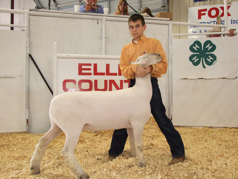 Image: How it’s done — Trevor Mott displays his lamb in the center of the sale ring.