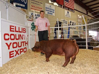 Image: Aaron Pittmon — Aaron Pittmon prances his Duroc swine around the sale ring.