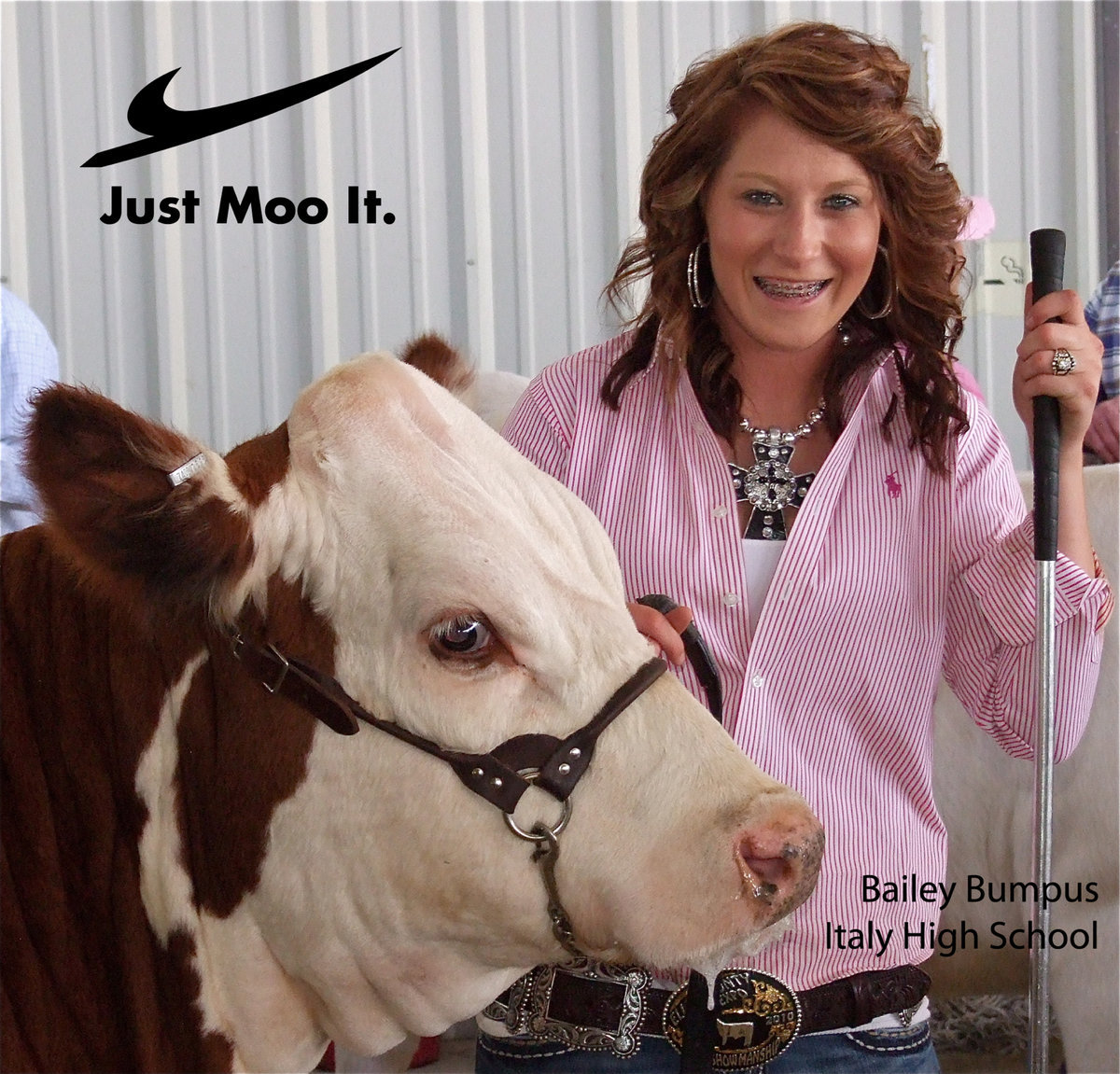 Image: Just Moo it. — Bailey Bumpus moments before entering the Ellis County Youth Expo show ring on Thursday.