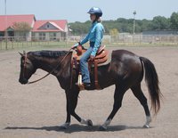 Image: Dakotah Van Huss and Capitol Te Strut — Dakotah Van Huss of Waxahachie rides Capitol Te Strut to a win in Western Walk Trot at the ECEYA Fundraiser Horse Show.