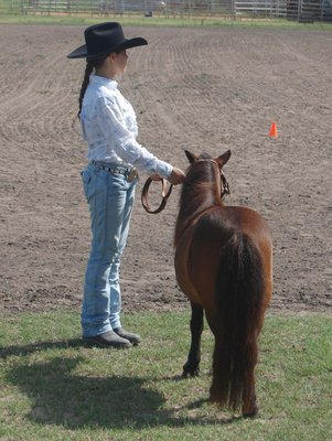 Image: Nicole Wofford and her miniature mare — Nicole Wofford of Midlothian brought a miniature mare to compete with in the halter classes at the ECEYA Fundraiser and Fun Show.