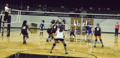 Image: Under the ball — Lady Bulldogs hit the ground to save the point.