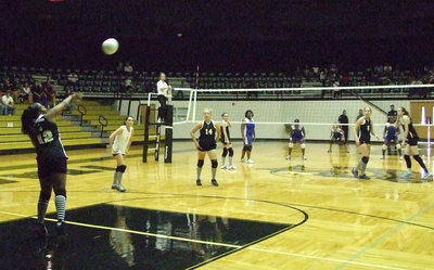 Image: Fleming serves — Lady Bulldogs wait for the serve by Jaleecia Fleming.