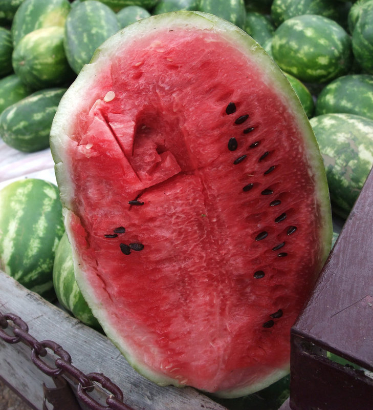 Image: Effective advertising — This unique sign caught my eye as I passed by Luciano Garza’s trailer full of juicy watermelons. Apparently, watermelon and I speak the same language.