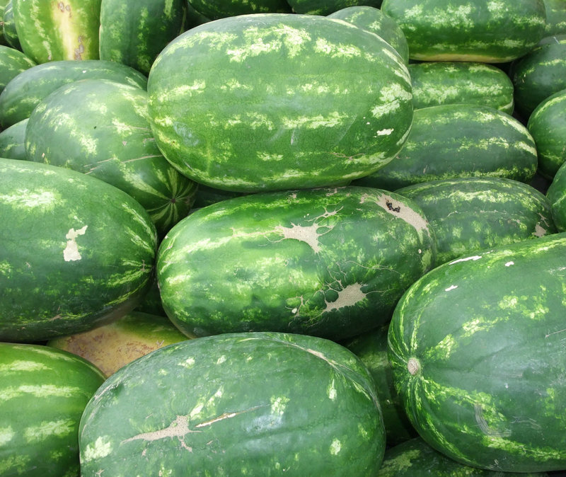 Image: I’ll take that one! — The large watermelons are $7.00 and the smaller melons are 2 for $5.00.