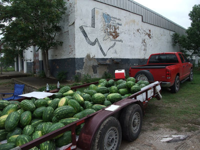 Image: A familiar sight — Deja food! We’ve seen this scene before. The Garza family will have watermelons for sale at their usual locations again this season.