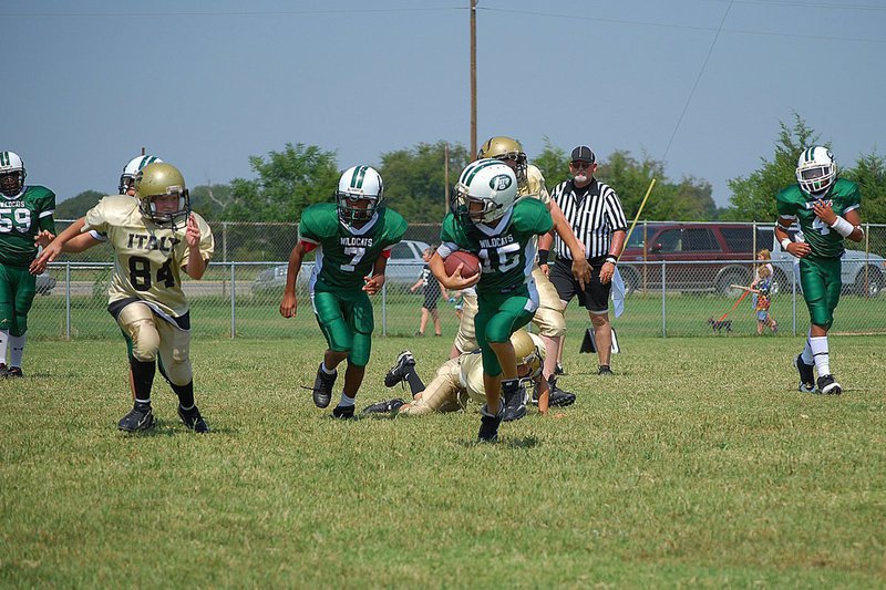 Image: Wildcat on the loose — The Wildcats scored 18 points against the Gladiators “A” team on Saturday.