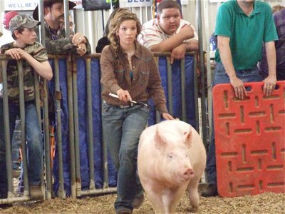 Image: Teamwork — Morgan Cockerham and her hog keep their eyes on the judge.