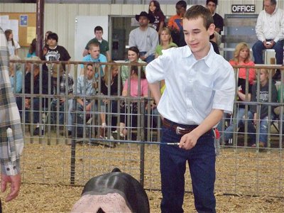 Image: Ryan’s relaxed — Ryan Connor happily shows his hog around the show pen.