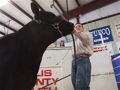 Image: Ethan’s a salesman — Ethan Saxon smiles and puts on a show during the sale with his Reserve Breed Champion steer.