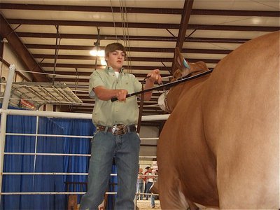 Image: Clayton Campbell — Clayton Campbell shows off his steer during the sale.