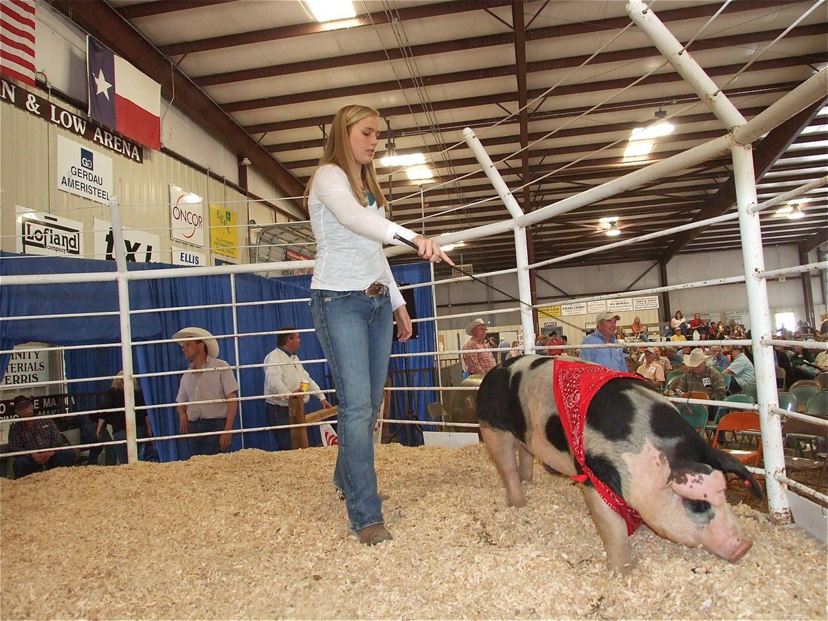 Image: Nice touch — Madison Washington and her bandana wearing hog work the sale ring.