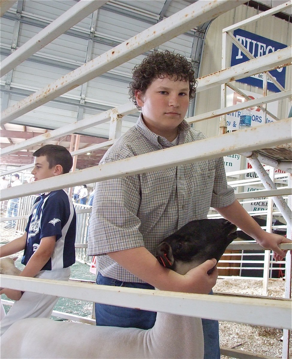 Image: In the chute — Trevor Mott and John Byers maneuver their lambs through the chutes on the way to the sale area.