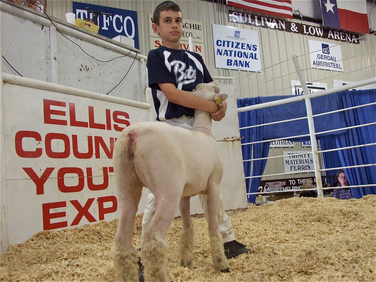 Image: Trevor Mott — Trevor Mott makes selling a lamb look easy.