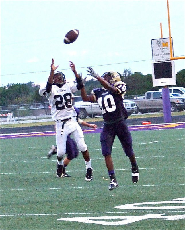 Image: Going to the ball — Cornerback Eric Carson(28) disrupts a pass attempt by the Panthers.