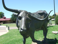 Image: Longhorns and ranching — The National Ranching Heritage Center holds a lot of history for this area.  The museum works on donations only and is a treasure in the Panhandle Plains.