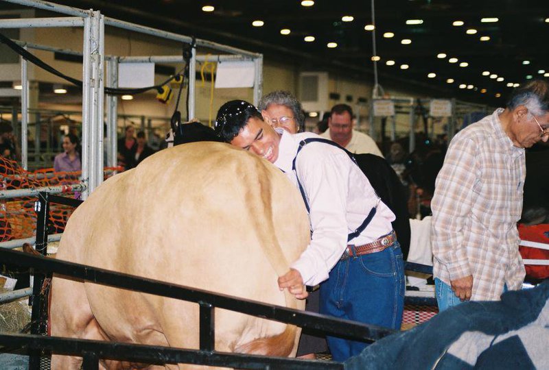 Image: In the money! — Mike Owens hugs his heifer after winning $3000 in prize money.