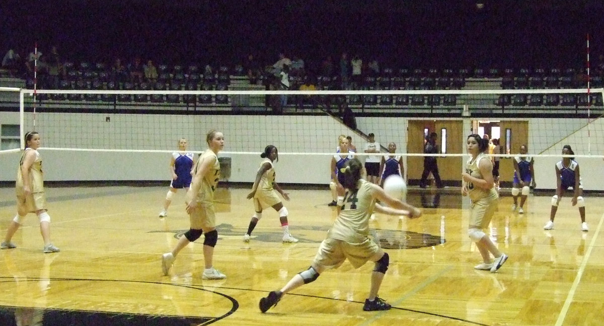 Image: Meagan sets up — Meagan Hooker (24) sets the ball.