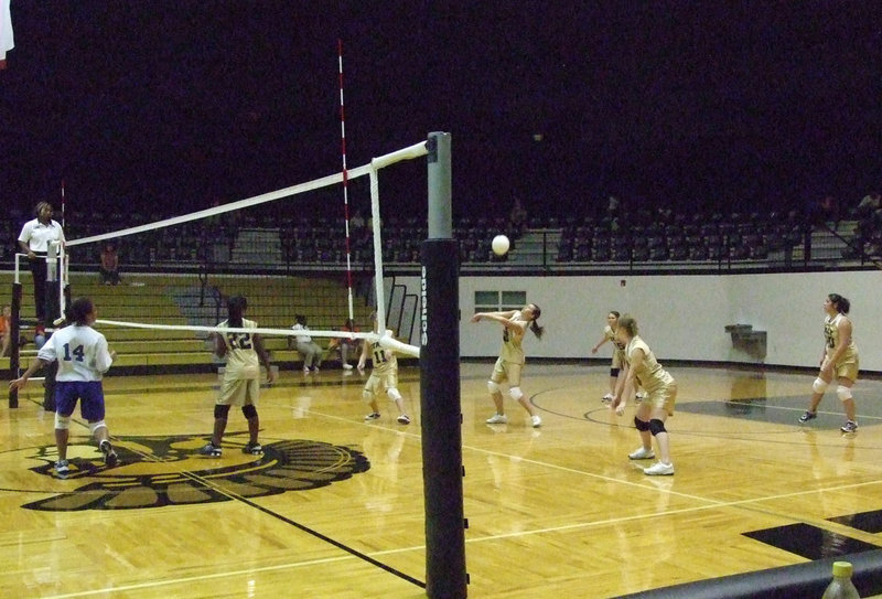 Image: The set up — Taylor Turner gets the volley up and ready.