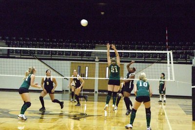 Image: Blum Lady Cats blocking — Lady Gladiators fight the Blum Lady Cats until the end.